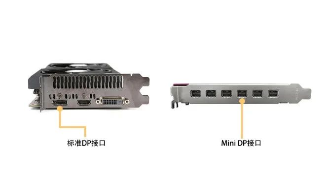 dp1.jpg