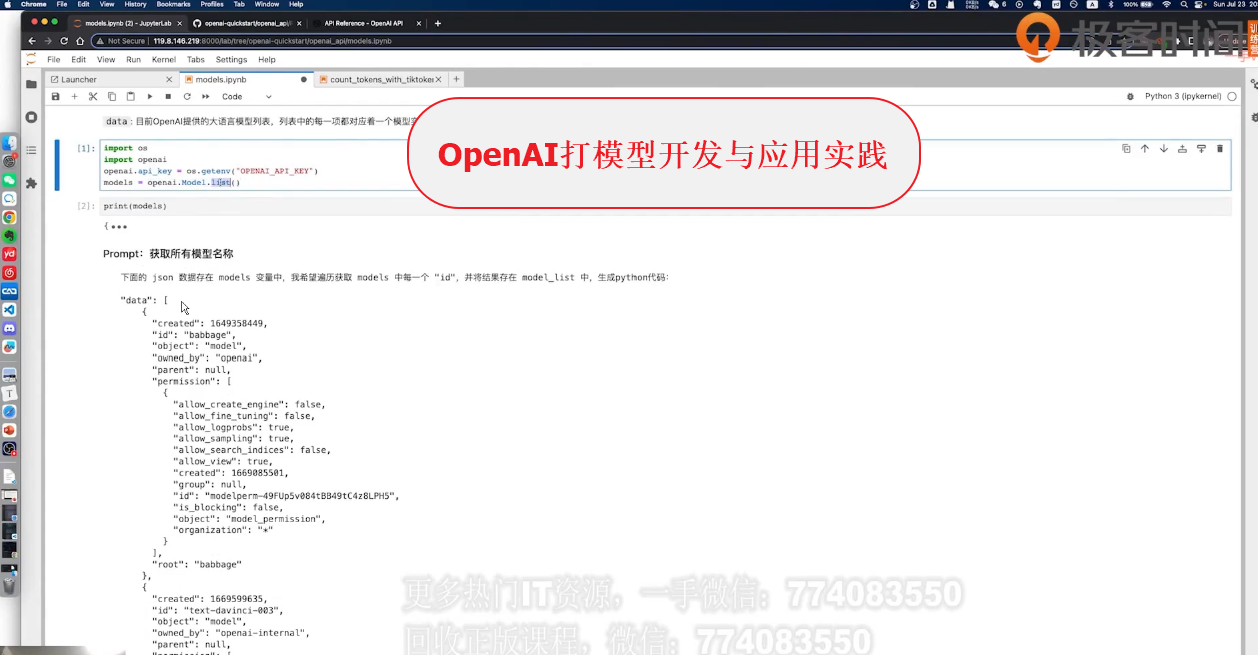 OpenAI打模型开发与应用实践.png