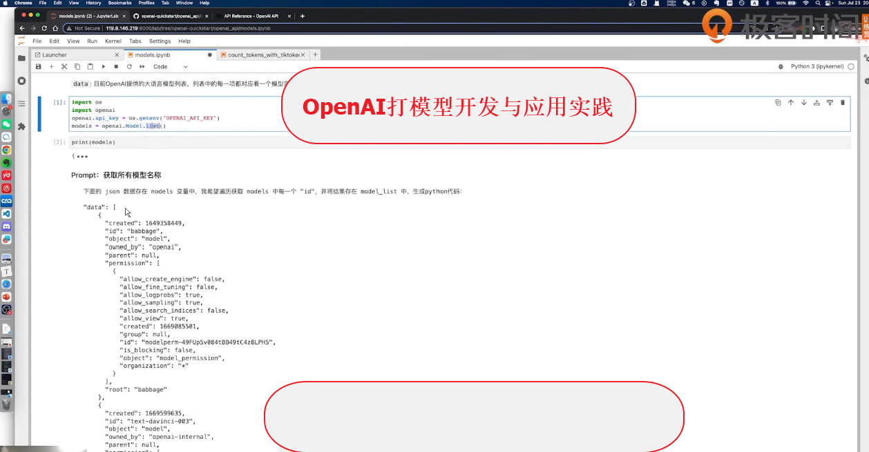 OpenAI打模型开发与应用实践.png